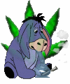 images/avatars/avatar-528.gif