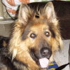 images/avatars/avatar-665.jpg